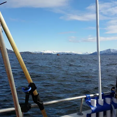 Koselig Hus Til Leie Pa I Vesteralen アパート ストクマークネス