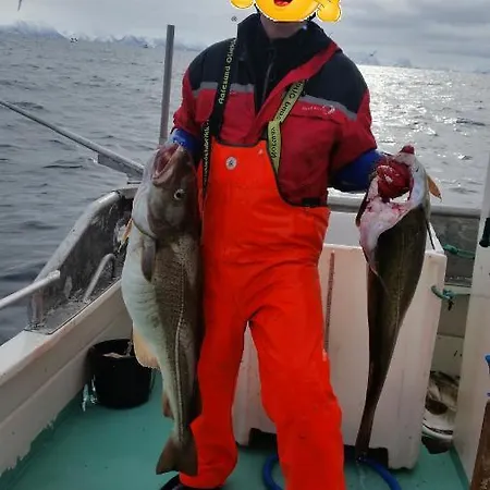 Koselig Hus Til Leie Pa I Vesteralen * Stokmarknes