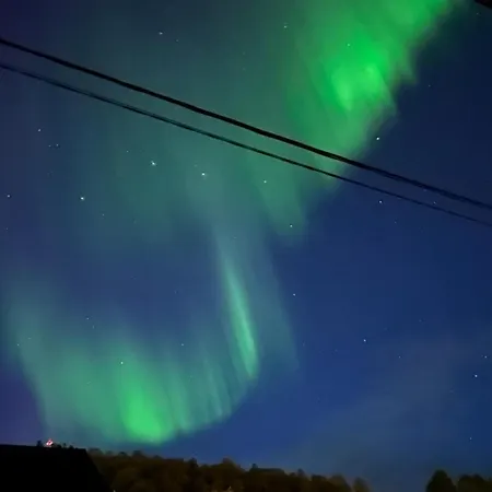 Koselig Hus Til Leie Pa I Vesteralen
